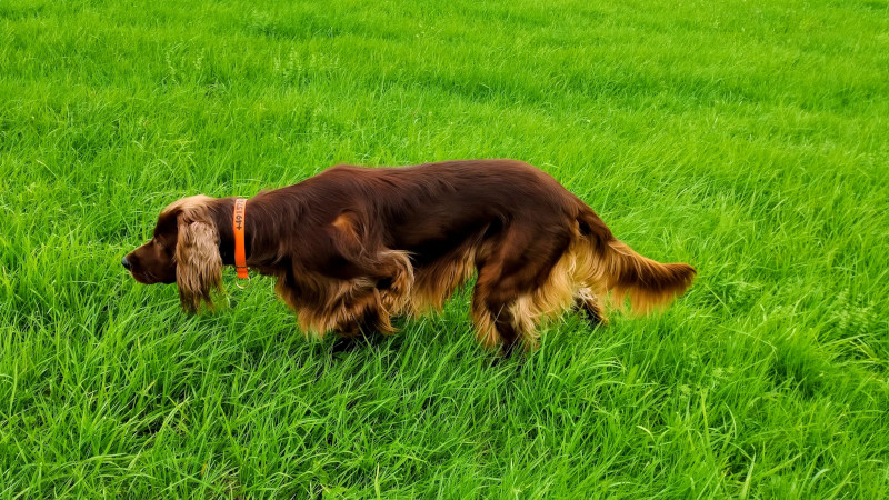 IMG 20250823 144020216 2 111558